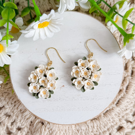 Hydrangea | White