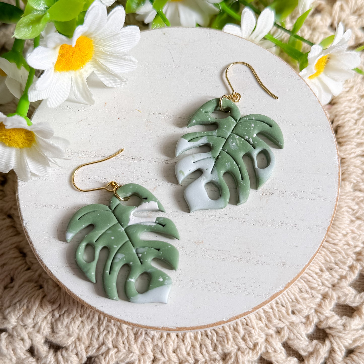 Monstera | Variegated