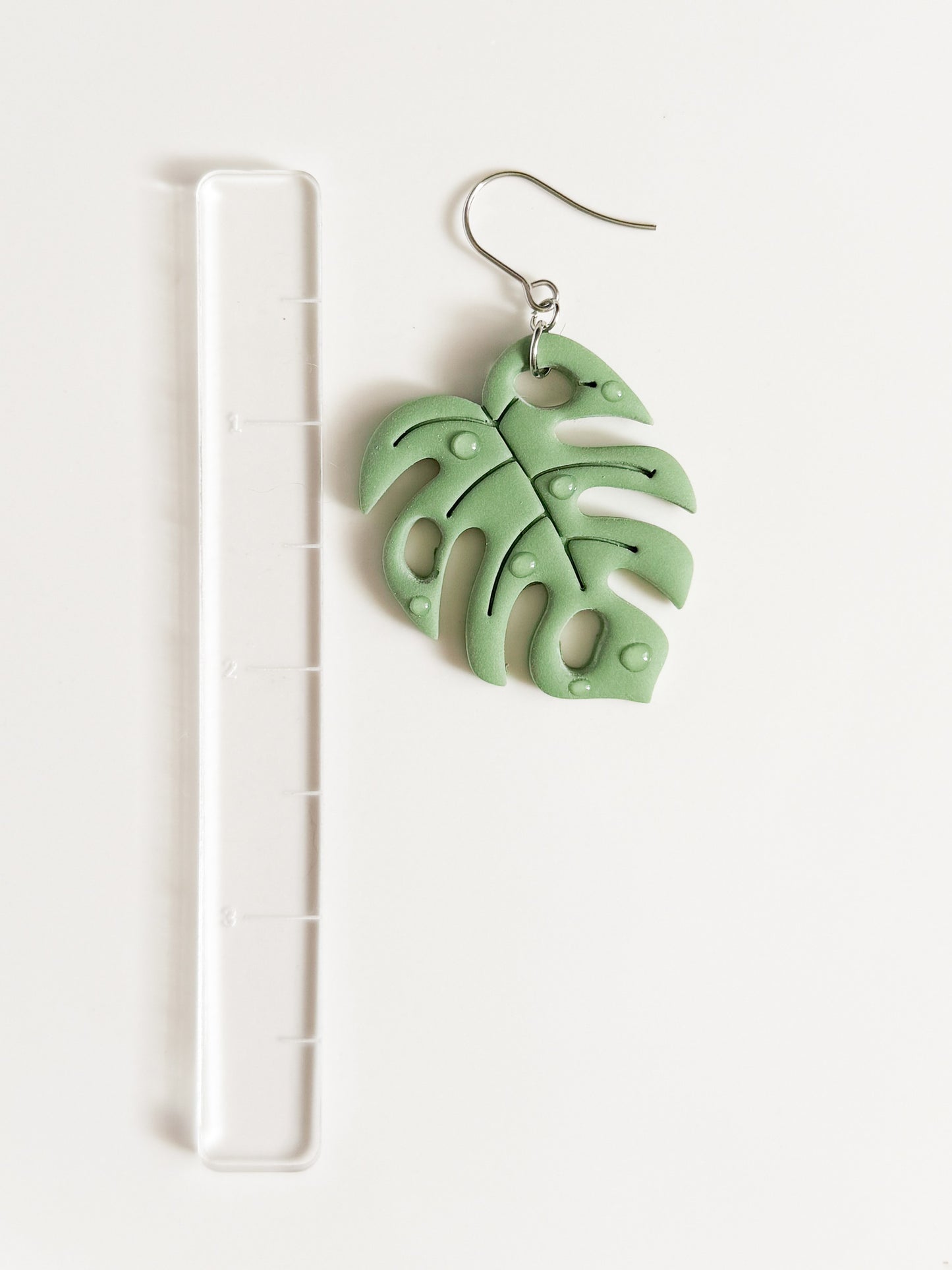 Monstera | Variegated