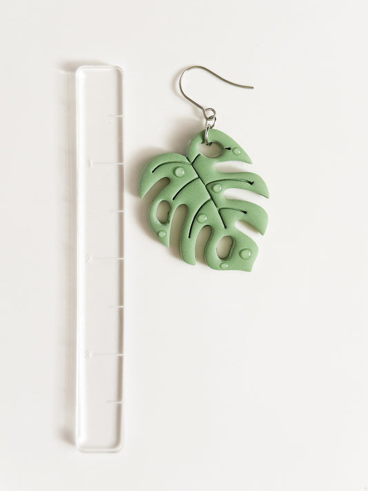 Monstera | Variegated
